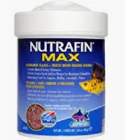Nutrafin fish